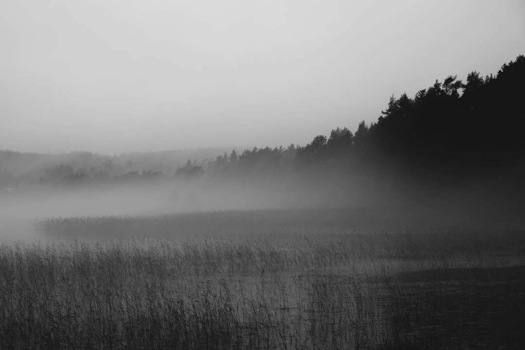 Stagnant Waters thumbnail