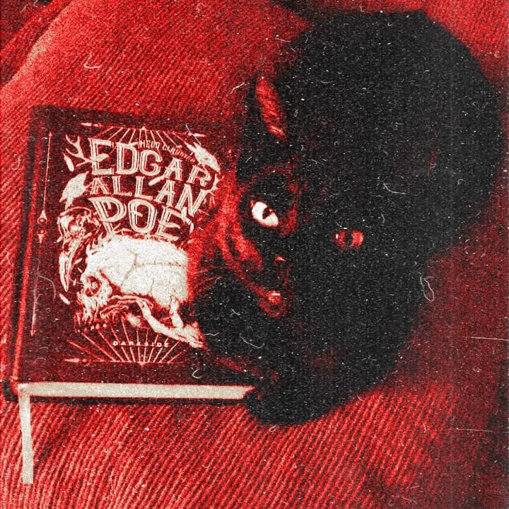 ✞︎乙𝔢𝔯𝔬✞︎