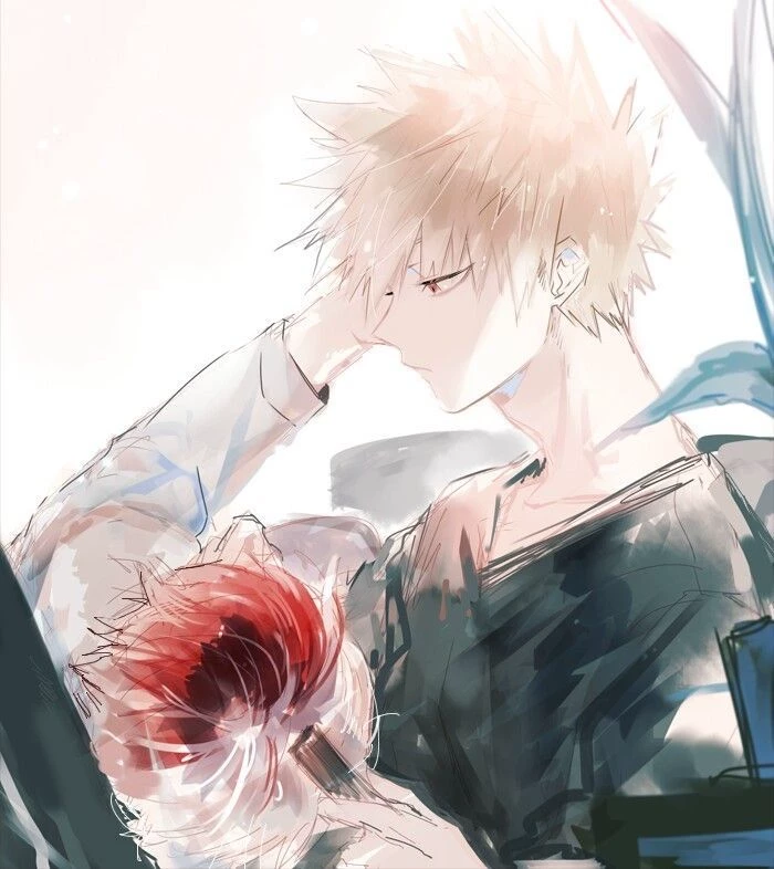 ✧Shoto Todoroki thumbnail