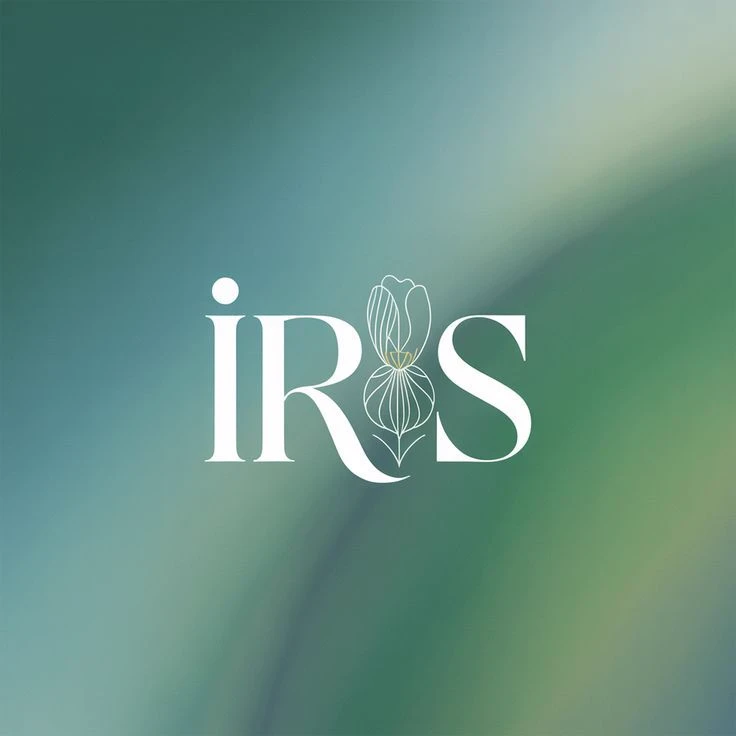 ÍRIS STAR ENTERTAINMENT thumbnail
