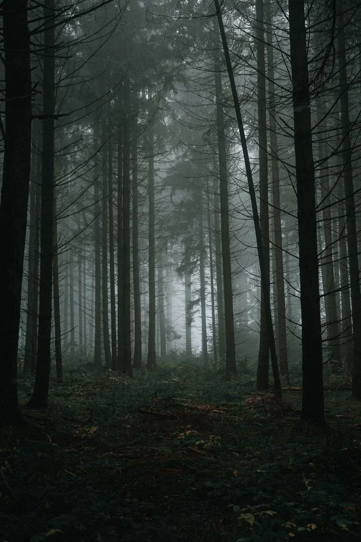 trip to the forest ¥ (creepypastas) thumbnail