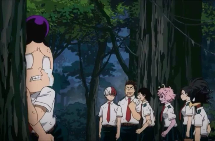 mha camp (whatever you want) thumbnail