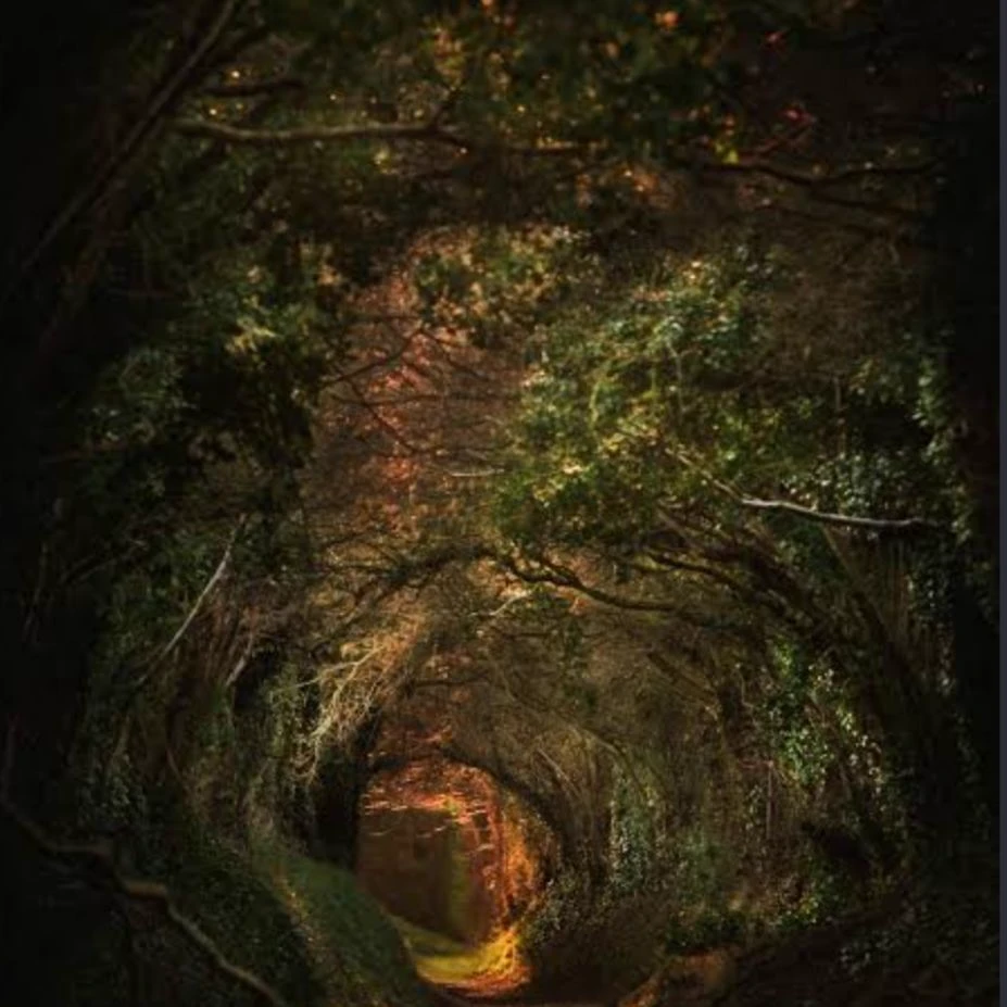 Amazon rainforest thumbnail