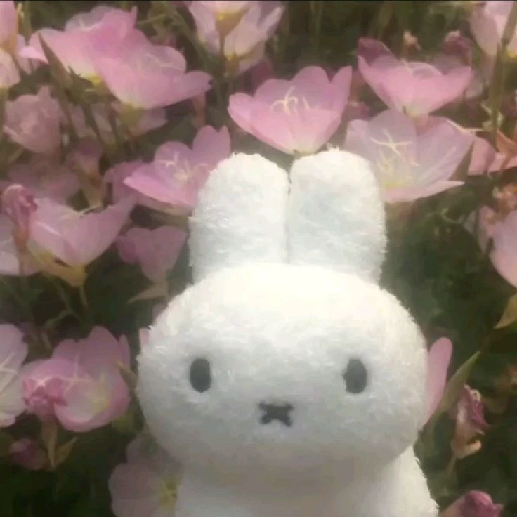 Miffy