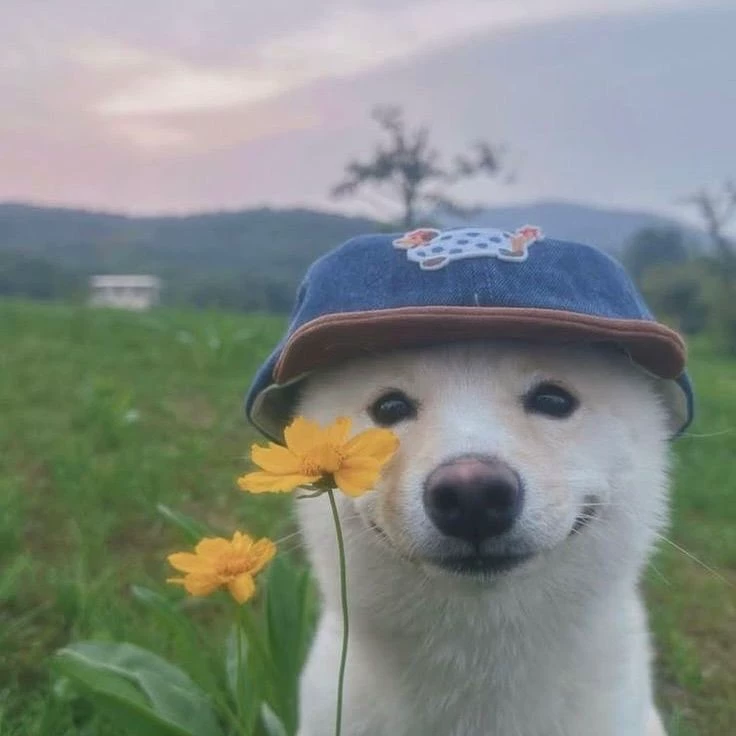 ☆dogandflower☆