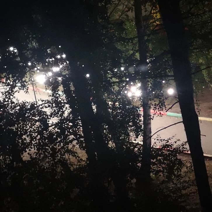Walk :) thumbnail