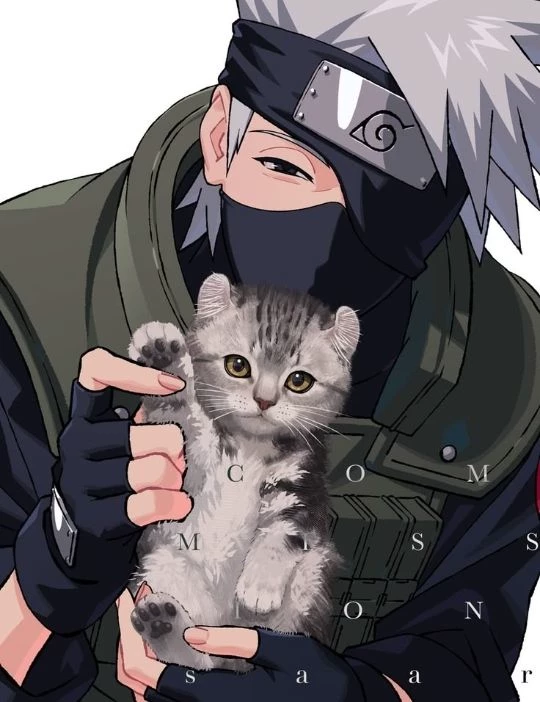kakashi's little cat thumbnail
