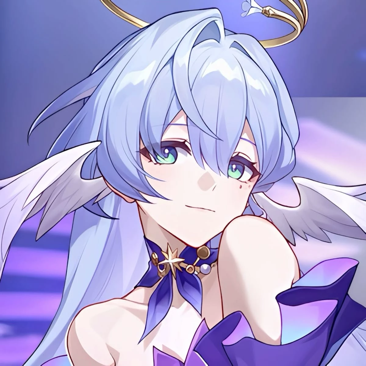 Robin thumbnail