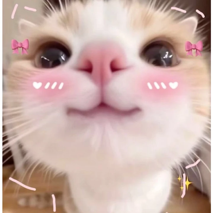 Reski
