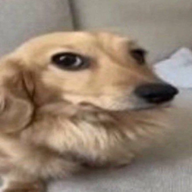 Dori