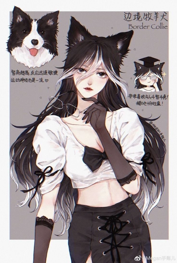 You're a hybrid dog thumbnail