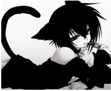 mijo cat thumbnail