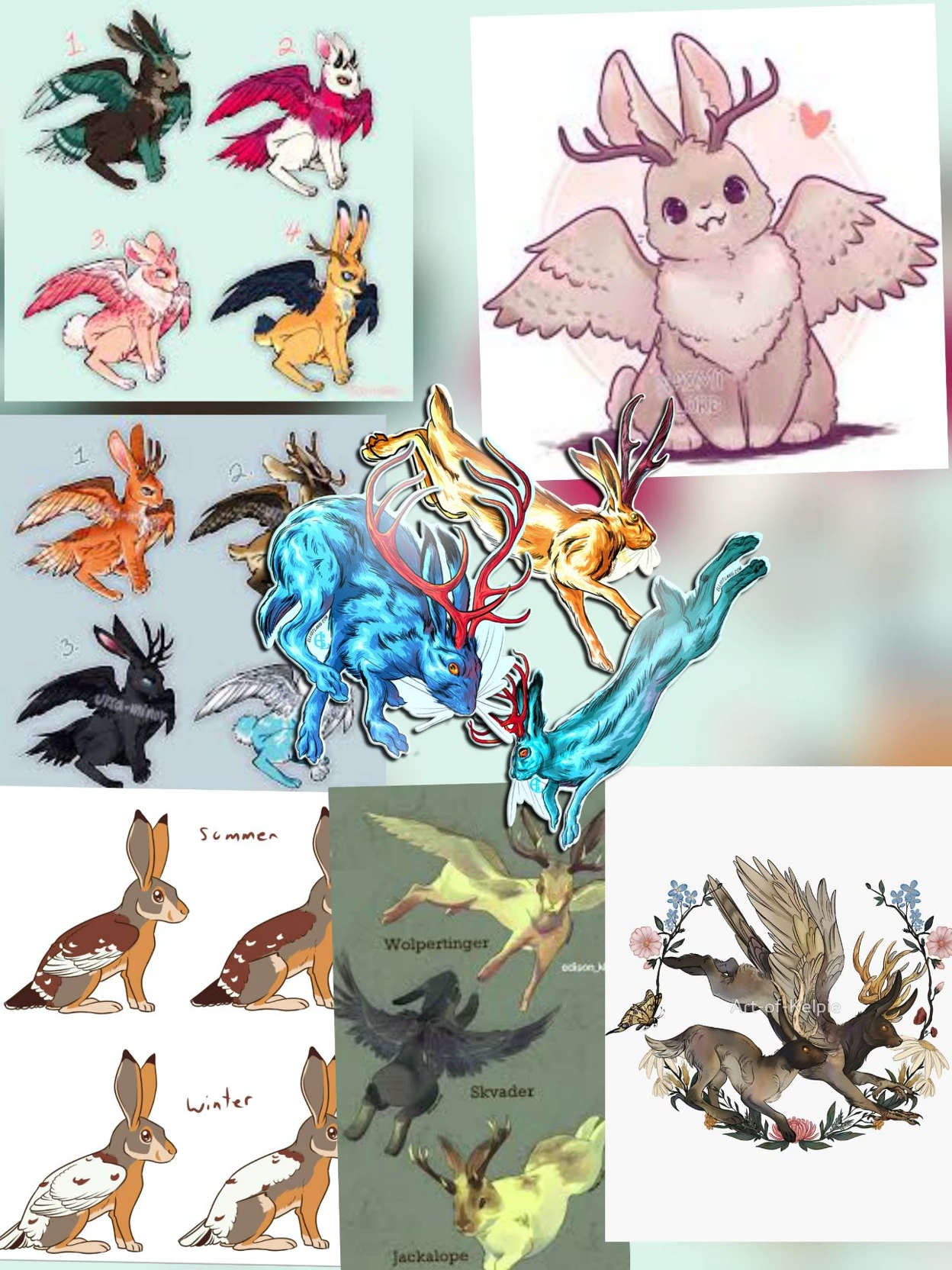 Jackrabbit criptids thumbnail