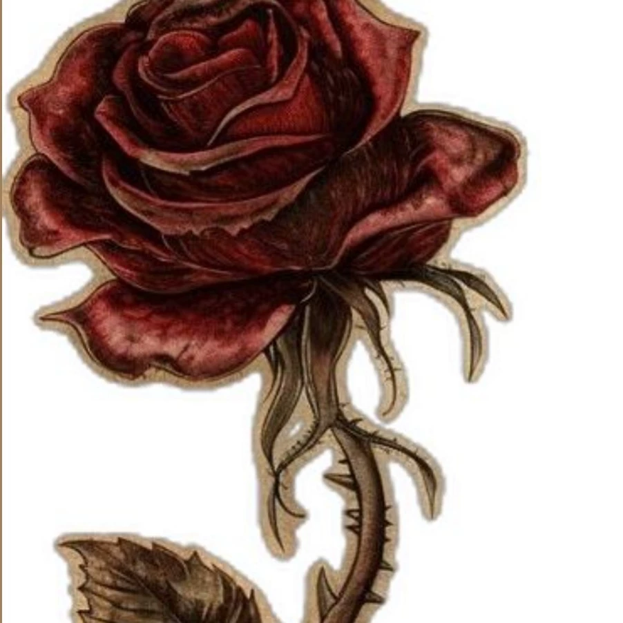 ⚘.( ၴႅၴ