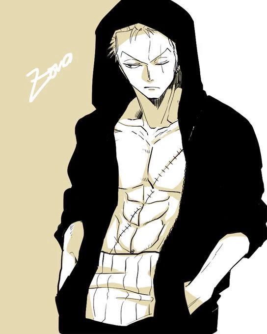 Roronoa Zoro (Boxer) thumbnail