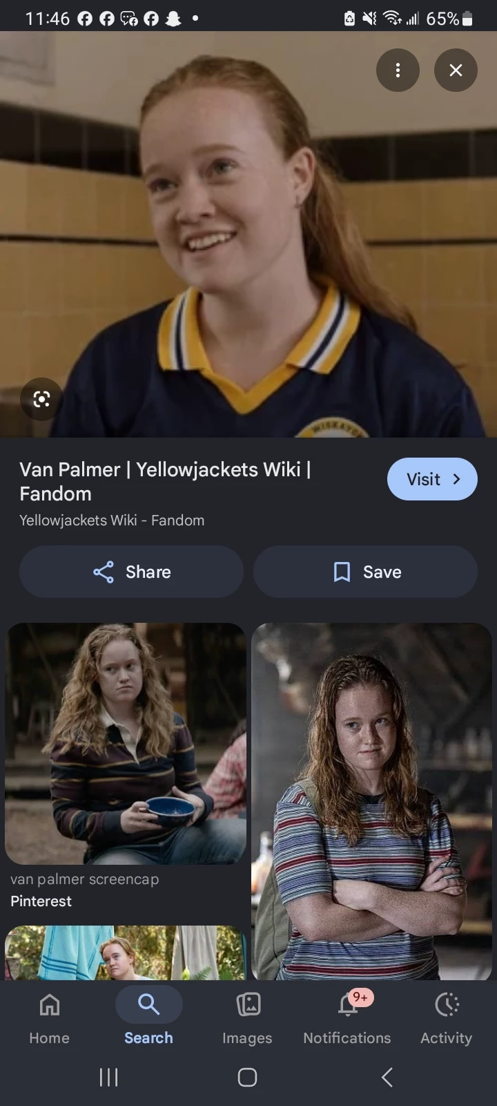 van palmer (yellow jackets) wlw thumbnail