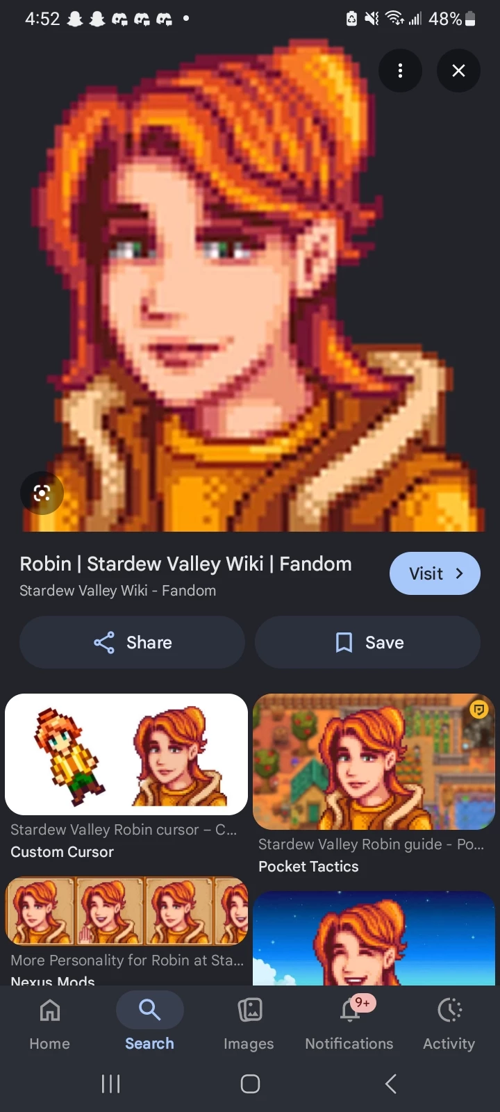 Robin from stardew valley (sdv) thumbnail