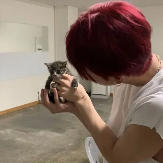 Jungwon thumbnail