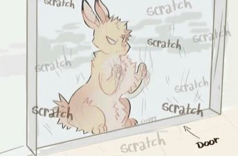 bakugou Katsuki thumbnail