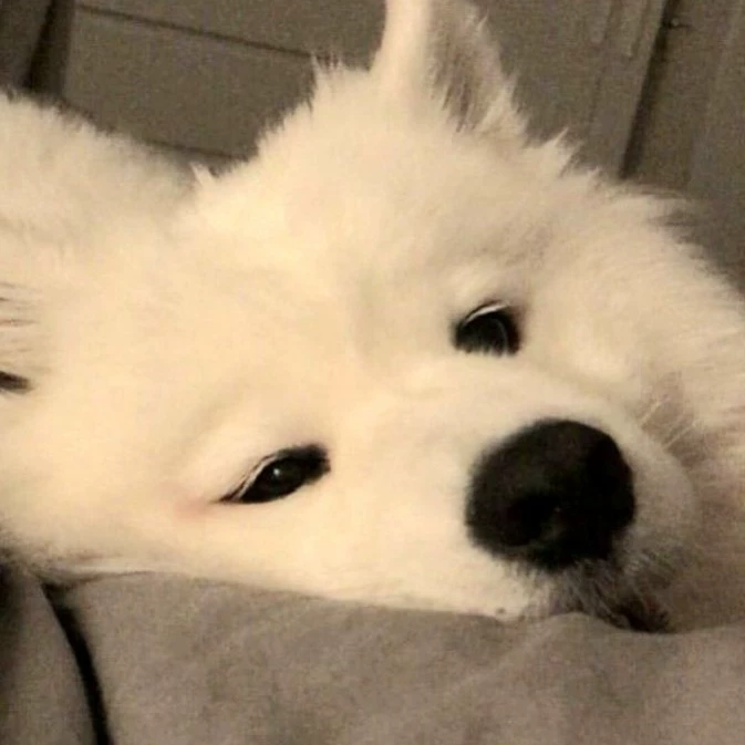 Yan