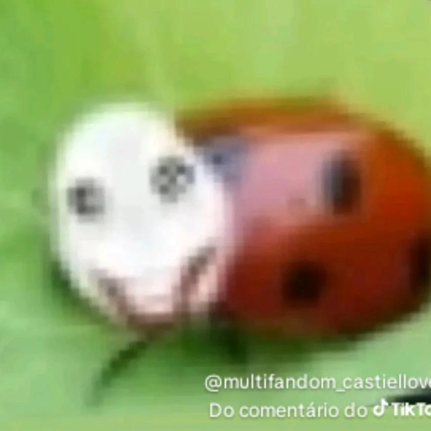 aurinha + eguinho