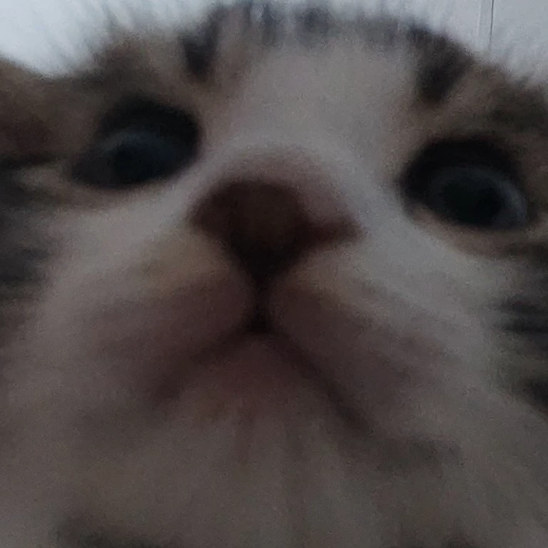 Alex