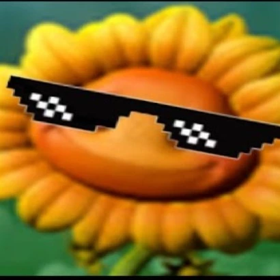 Sunnybloom