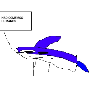 Tubarão segurano placa kkkkkkkkkkkkkkkkk