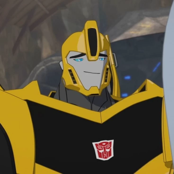 Bumblebee Ride thumbnail