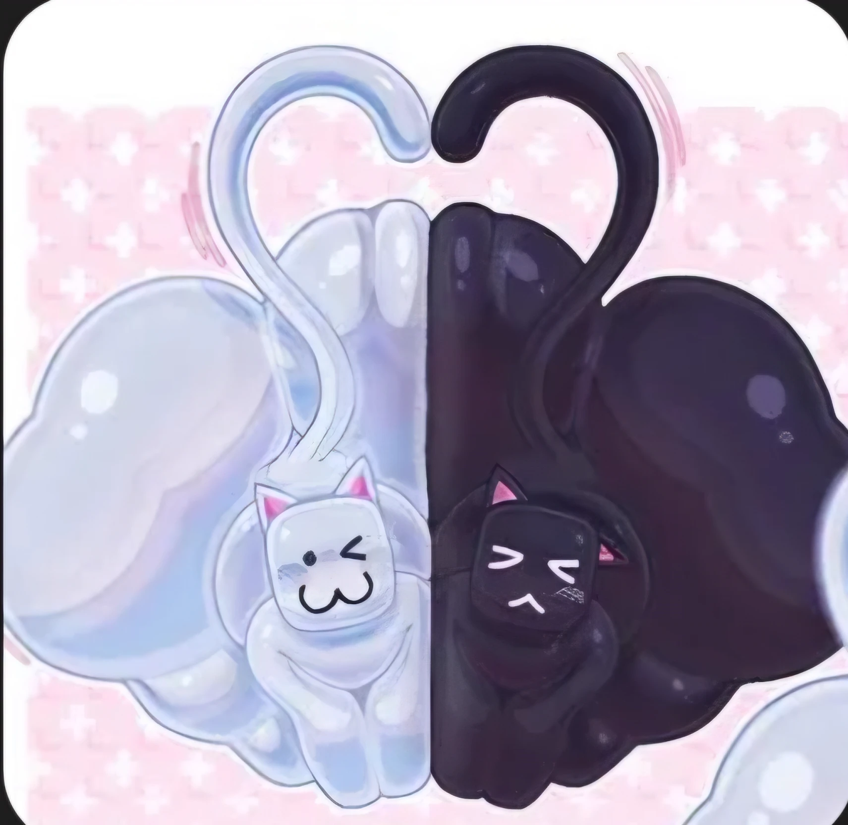 White and Black (cats) thumbnail