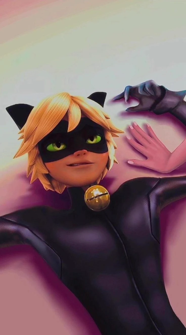 Black cat thumbnail