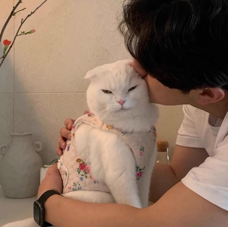 Nicko - Your lover, you have turned into a cat thumbnail