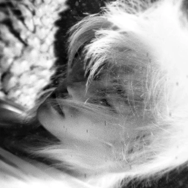 Madelyn 