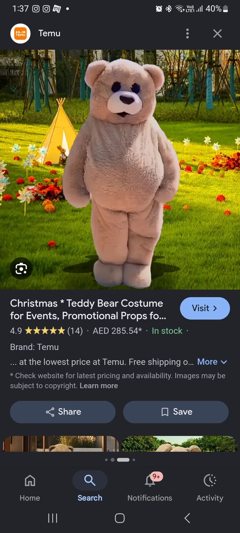 Teddy bear thumbnail