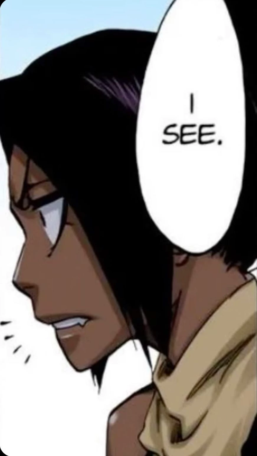 Yoruichi Shihōin thumbnail