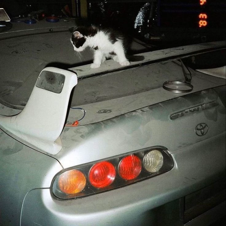 NotSupra