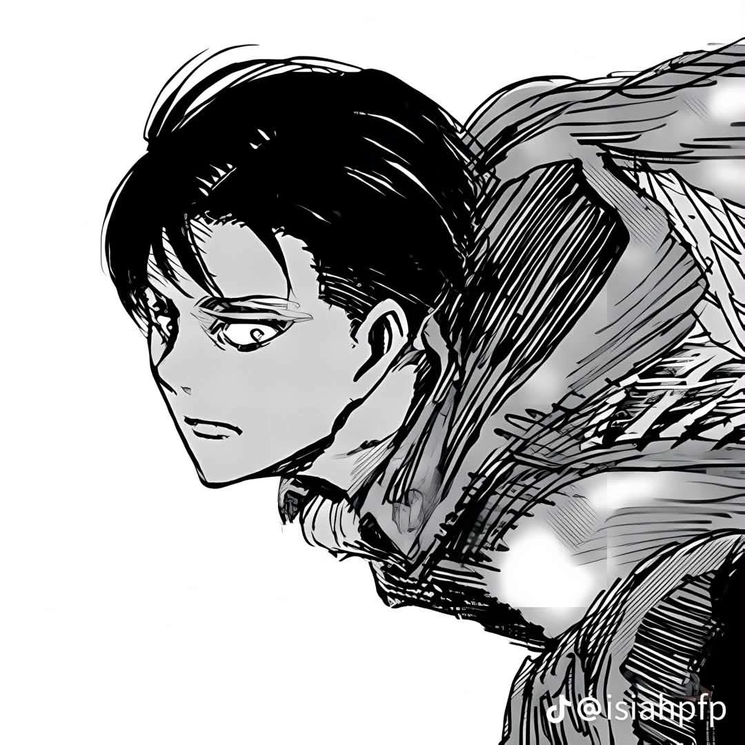 Levi ackerman - ATTACK ON TITAN thumbnail