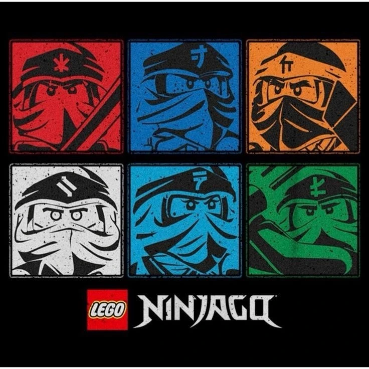 The ninjas in the real world thumbnail