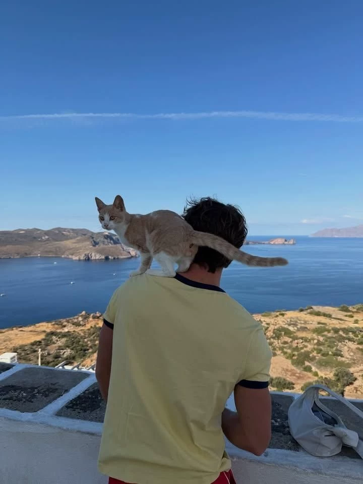 Kevin thumbnail