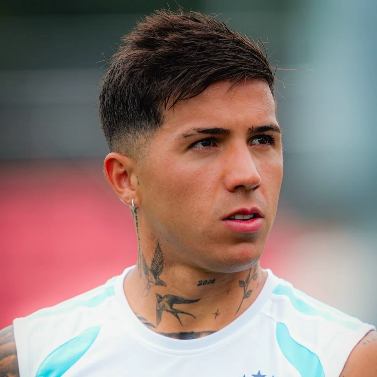 Enzo fernandez thumbnail