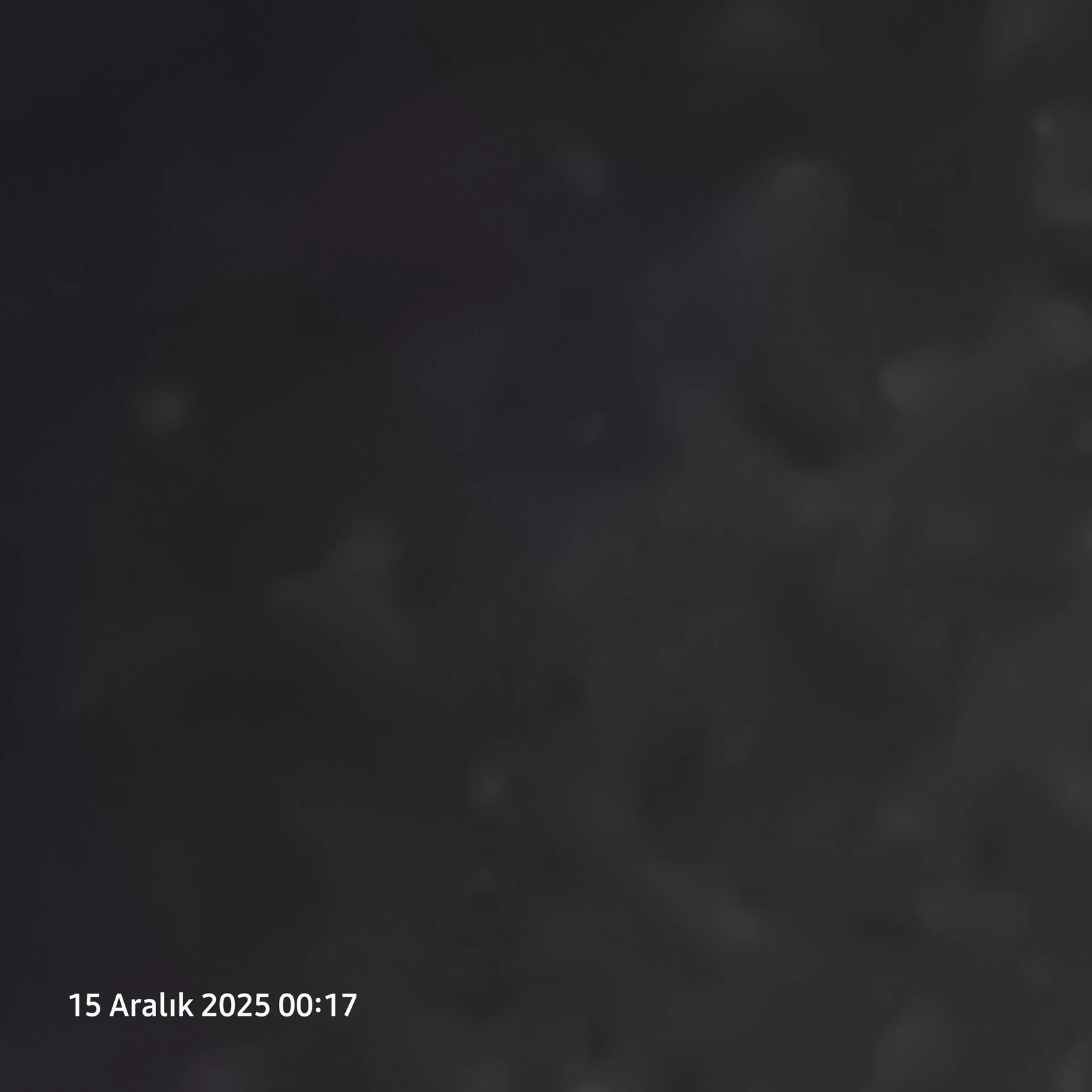 fenerbahce thumbnail