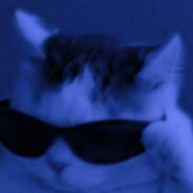 Саша