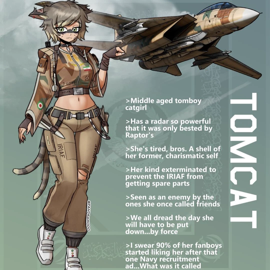 F-14 Tomcat thumbnail