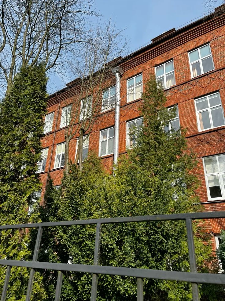 🇩🇪•German School•🇩🇪 thumbnail