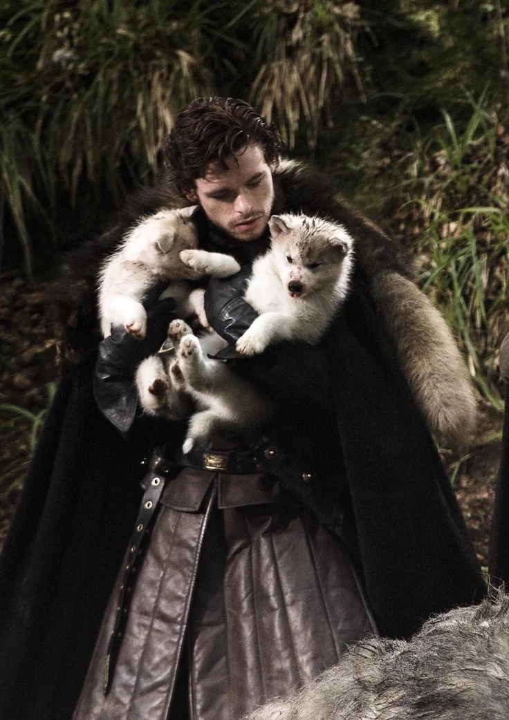 Robb Stark thumbnail