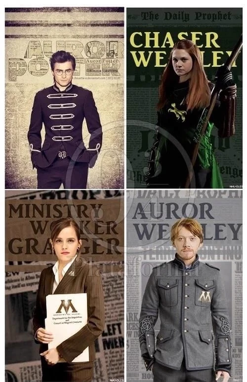The later years after Hogwarts thumbnail