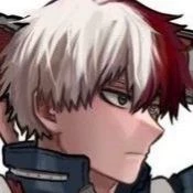 Shoto Todoroki thumbnail