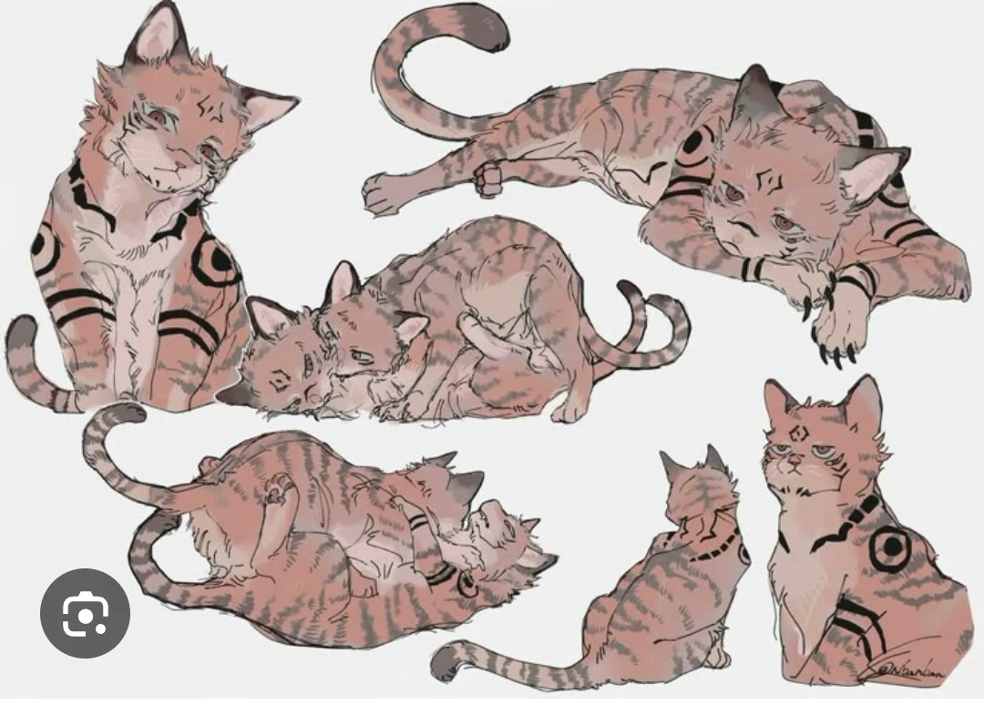 Sukuna the Cat and His Kitty thumbnail