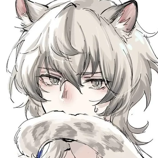 Aiden