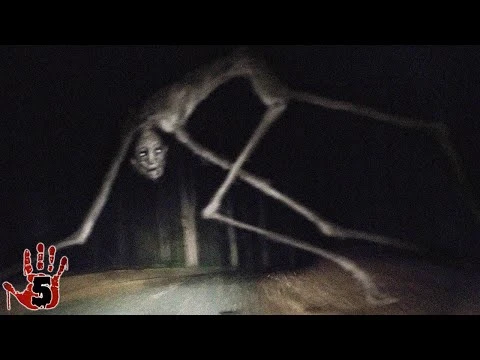 The creature of the countryside thumbnail